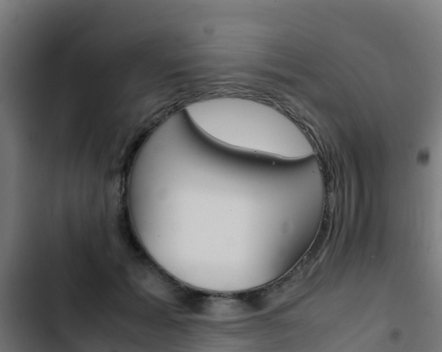 X0000103430605200809121038