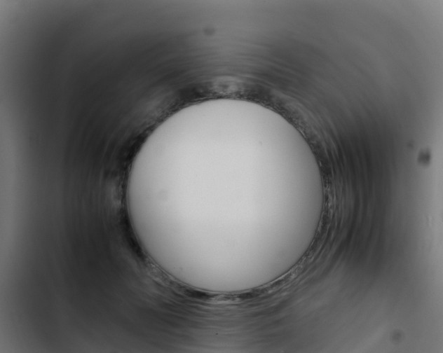 X0000103430606200809121038