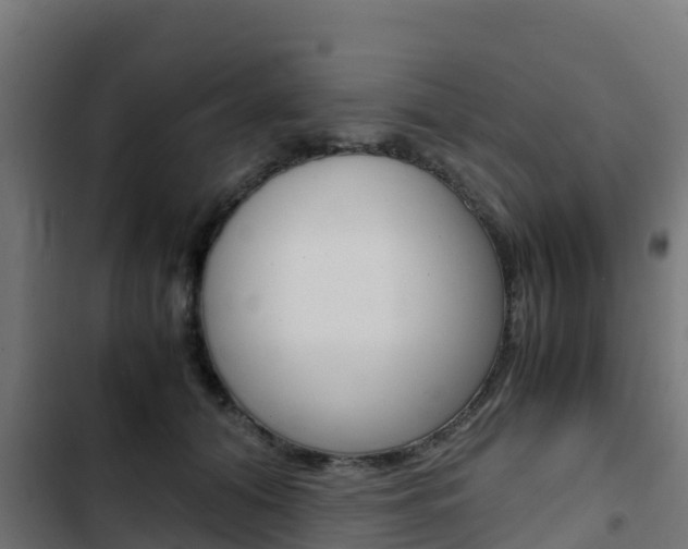 X0000103430608200809121038