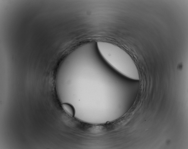 X0000103430609200809121038