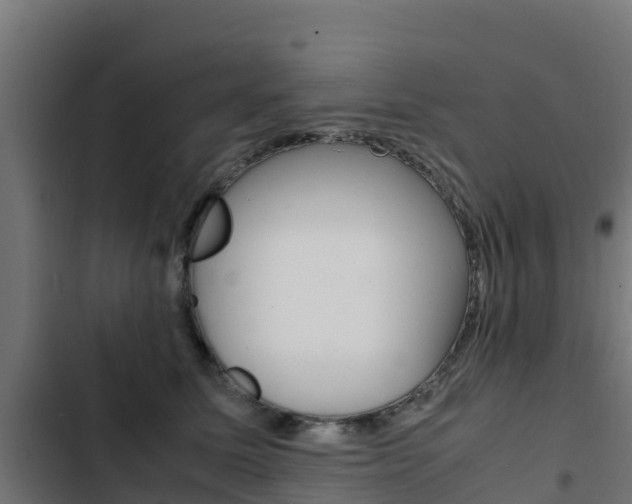 X0000103430611200809121038