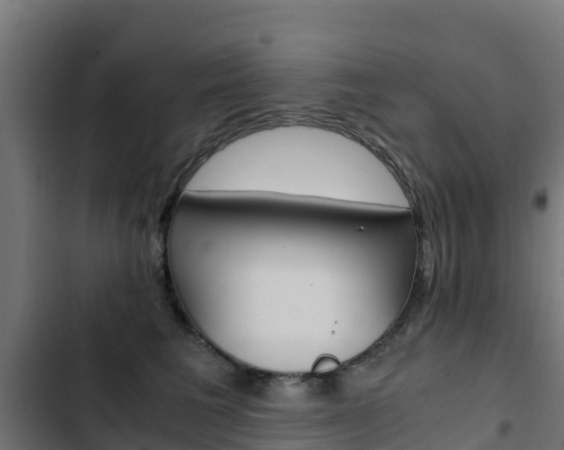 X0000103430613200809121038