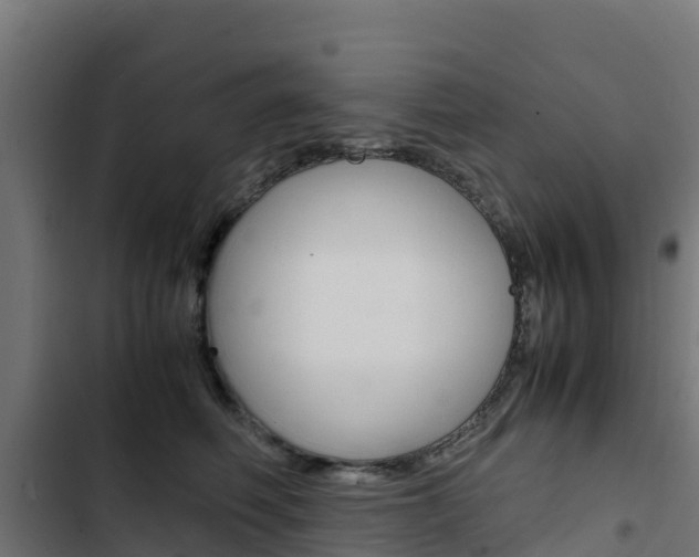 X0000103430614200809121038