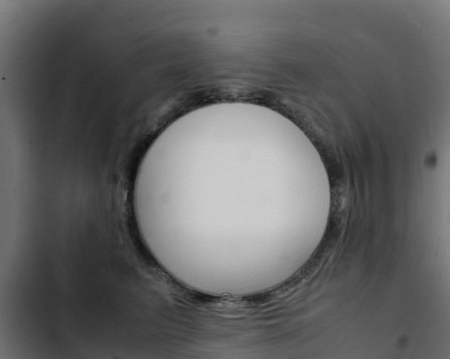 X0000103430615200809121038