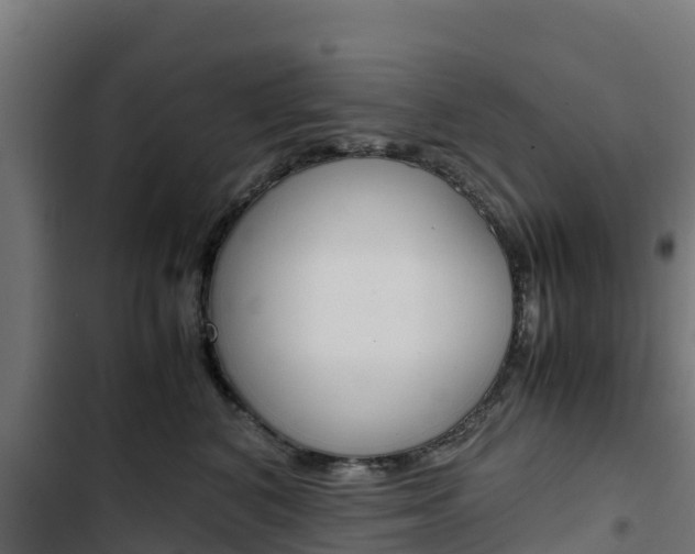 X0000103430616200809121038