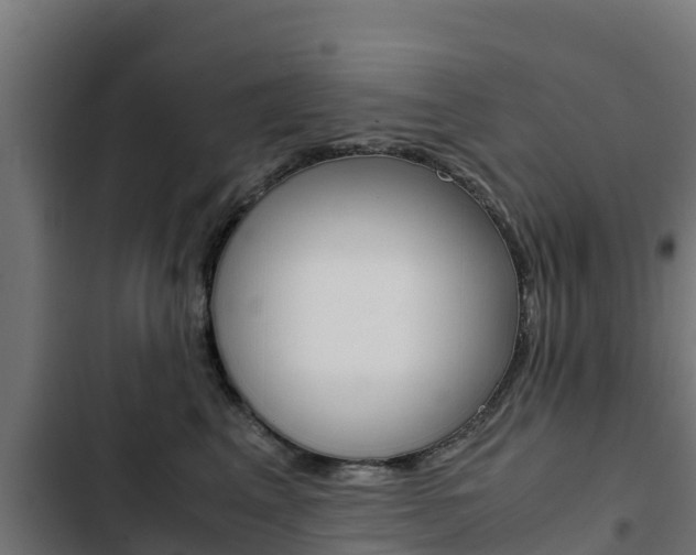 X0000103430617200809121038