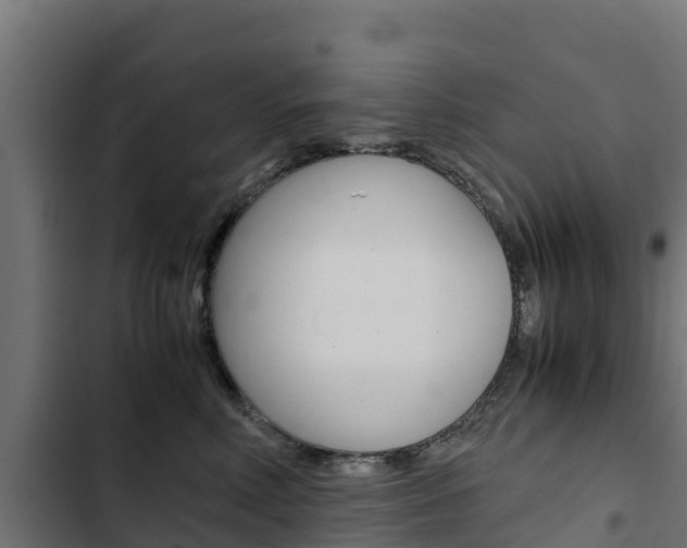 X0000103430618200809121038