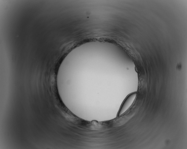 X0000103430623200809121038