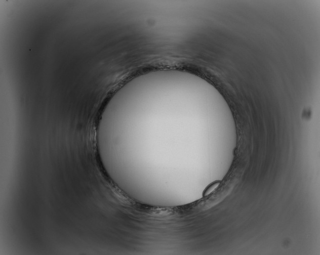 X0000103430624200809121038