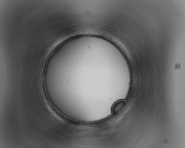 X0000103430625200809121037