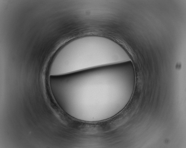 X0000103430626200809121037
