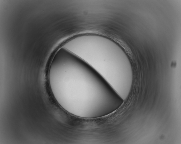 X0000103430628200809121037