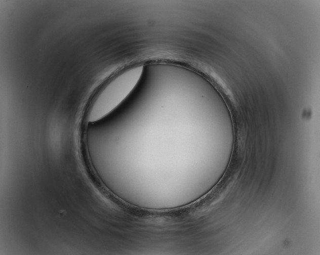 X0000103430629200809121037