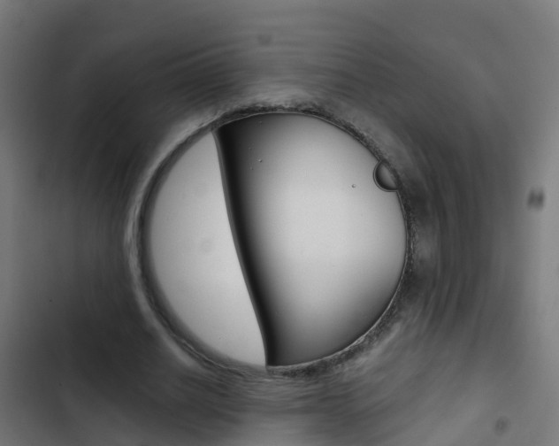 X0000103430630200809121037