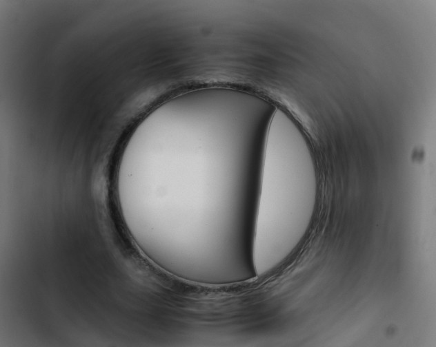 X0000103430631200809121037