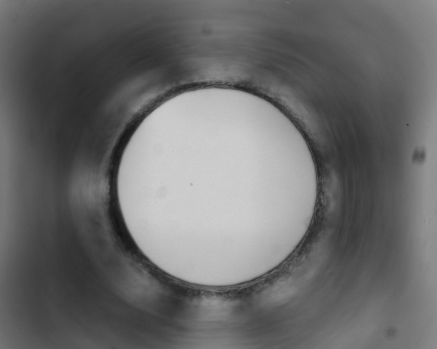X0000103430632200809121037