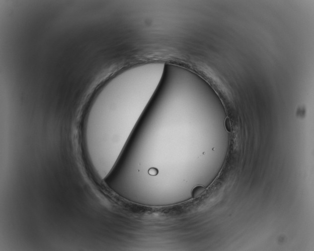 X0000103430634200809121037
