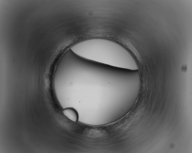 X0000103430635200809121037