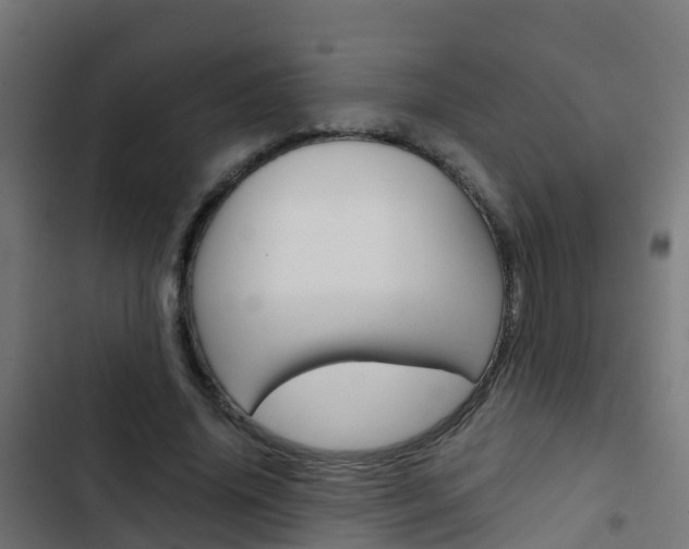X0000103430636200809121037
