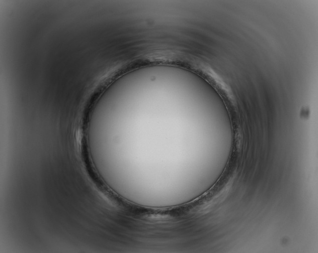 X0000103430637200809121037