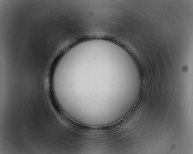 X0000103430638200809121037