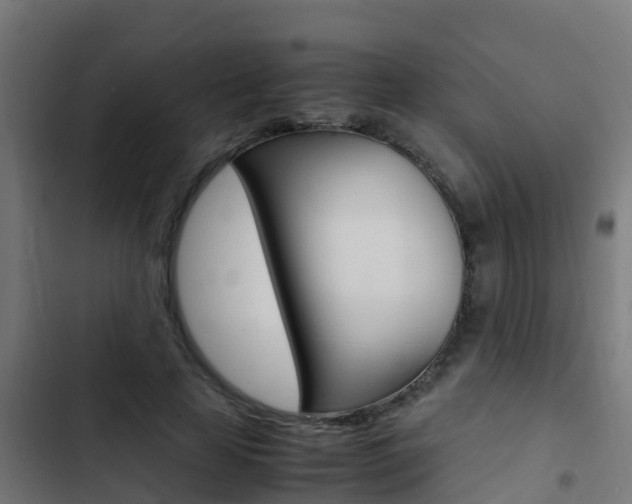X0000103430641200809121037