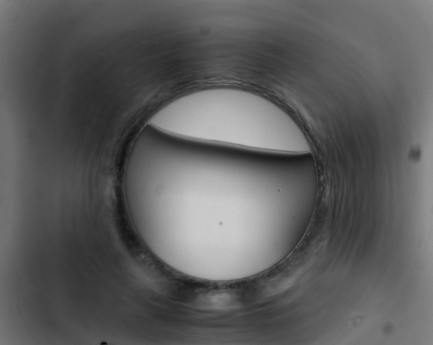 X0000103430643200809121038