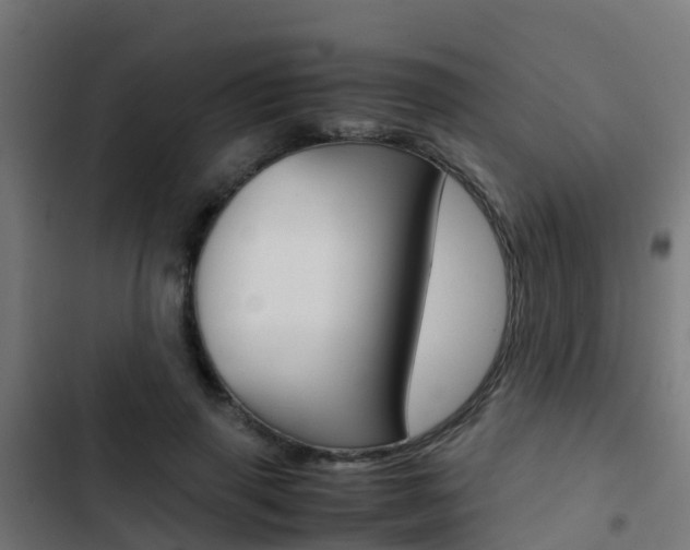 X0000103430645200809121038