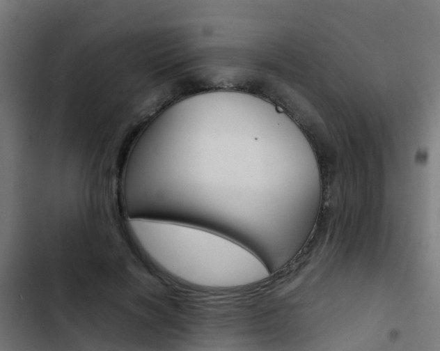 X0000103430646200809121038