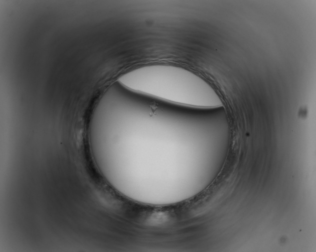 X0000103430647200809121038