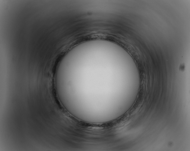 X0000103430649200809121038