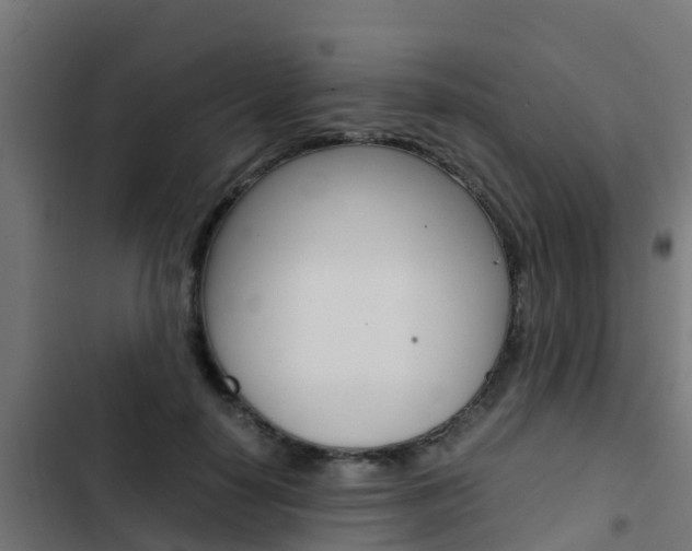 X0000103430650200809121038
