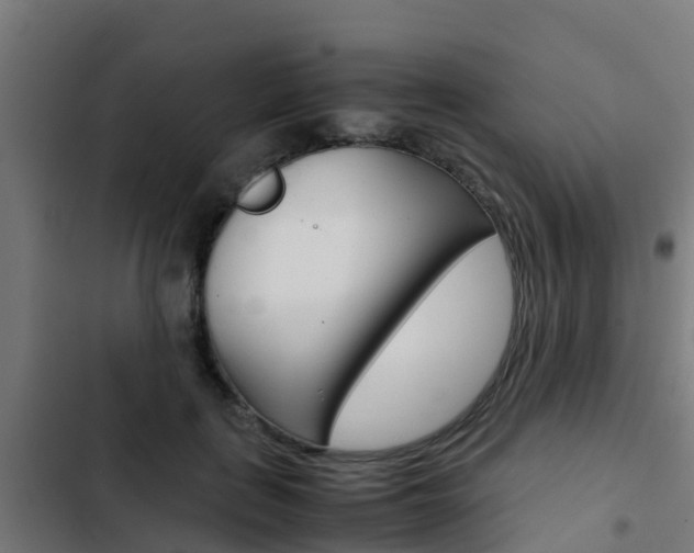 X0000103430651200809121038