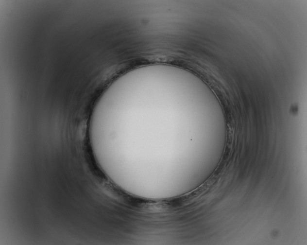 X0000103430652200809121038