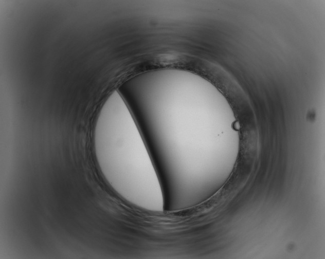 X0000103430653200809121038