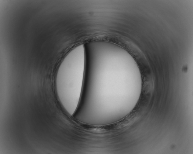 X0000103430654200809121038