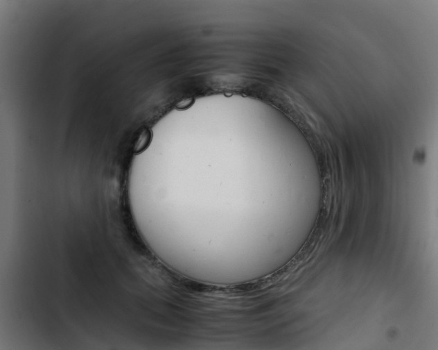X0000103430655200809121038
