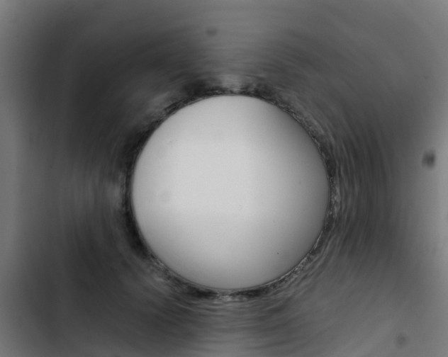 X0000103430656200809121038