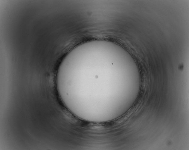 X0000103430658200809121038