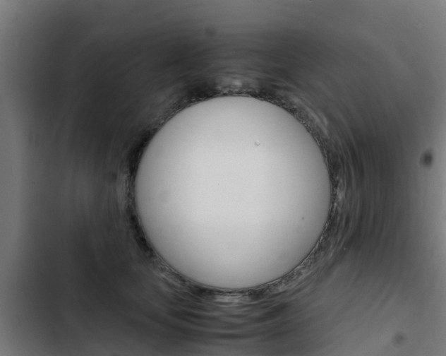 X0000103430659200809121038