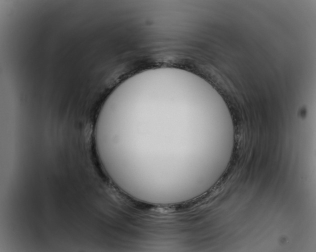 X0000103430660200809121038