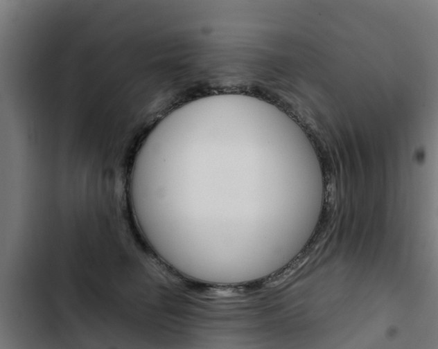 X0000103430662200809121038