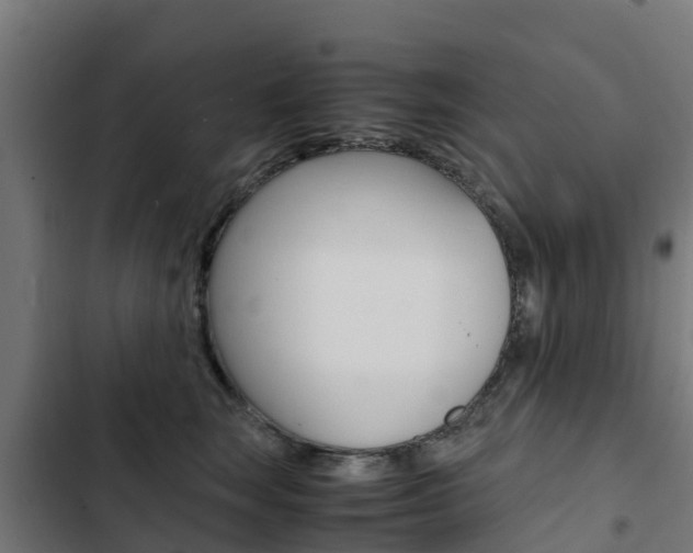 X0000103430663200809121038