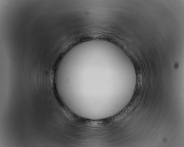 X0000103430664200809121038