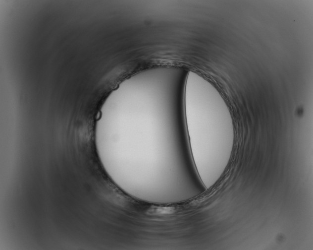 X0000103430665200809121038