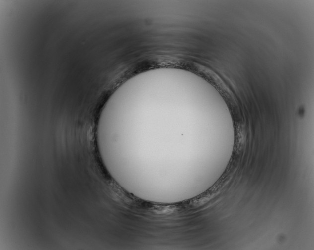 X0000103430667200809121038