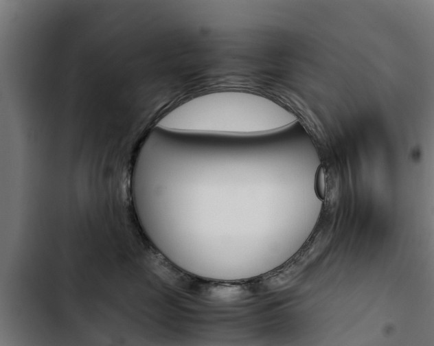 X0000103430669200809121038