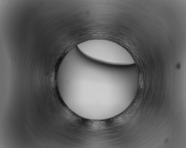 X0000103430670200809121038