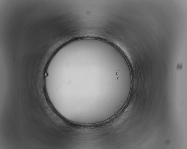 X0000103430673200809121037