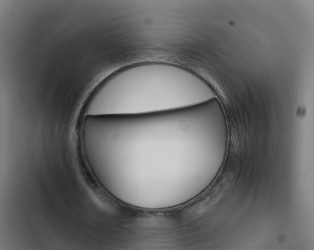 X0000103430674200809121037
